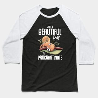 Procrastinator Day Red Panda Baseball T-Shirt